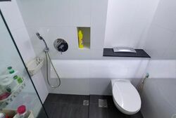 Blk 1 The Pinnacle@Duxton (Bukit Merah), HDB 5 Rooms #502888441